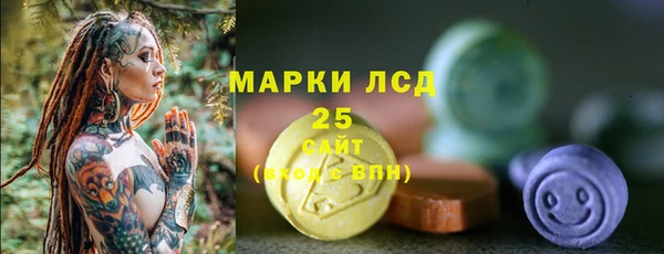 мдпв Ладушкин