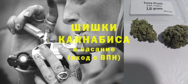 эйфоретик Кулебаки