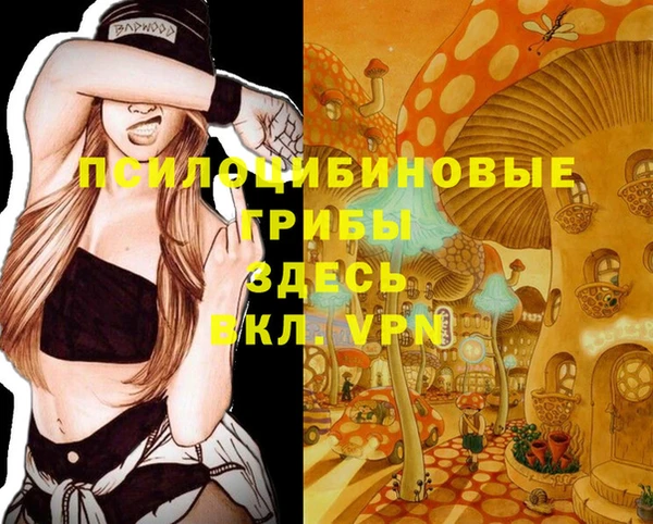 амфетамин Лабытнанги