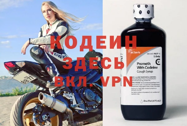 мдпв Ладушкин