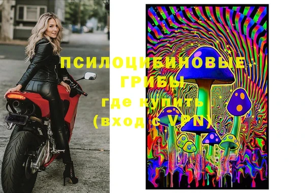 дмт Кукмор